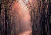 AC米兰备战那不勒斯，全力出击争取分