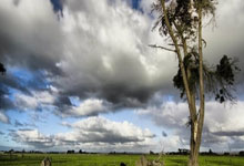 里尔迎战尼斯，谁能笑到最后？