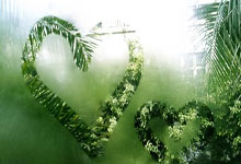 技惊四座，球员破门得分揭开胜利序幕！